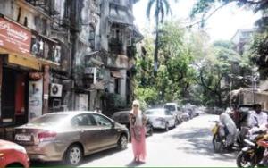 10609342_10152584920970358_1236884136_n