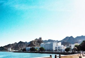 1619120_10152169238655358_1304089293_n