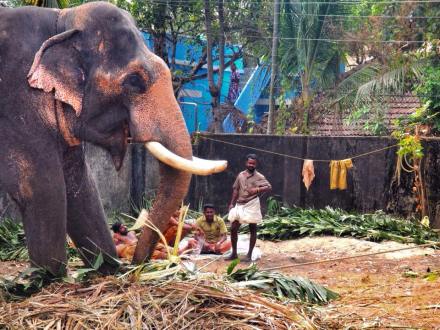 10959888_10152963865910358_1080180456848941693_n