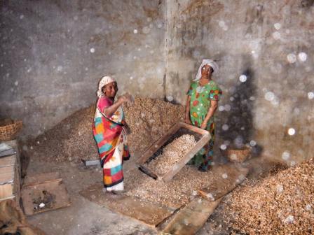 1488991_10152963866215358_8476853963025457526_n