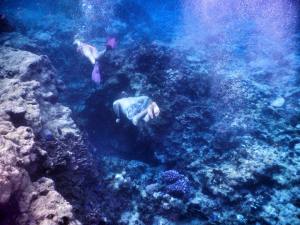 10007497_10153056535795358_3787024427460960626_n