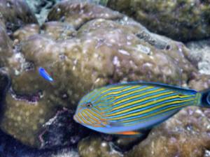 10304347_10153056535710358_9190677555960013156_n