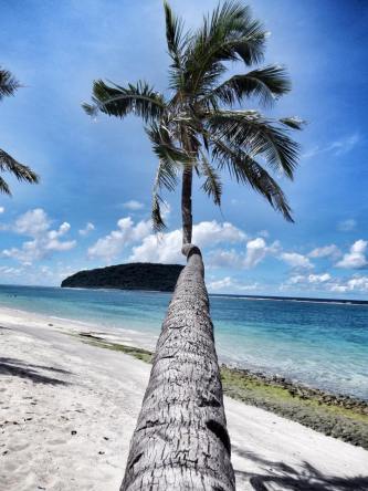 10384340_10153019233930358_7645141319663892963_n