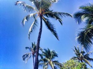 10476606_10153074578215358_765130139233078999_n