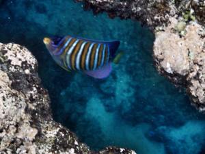 10949763_10153056534975358_7985158488159724876_n