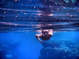 10999000_10153056535850358_6352979304556090796_n