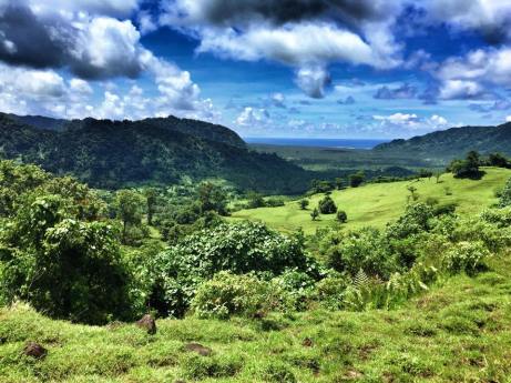 11029561_10153019232980358_1013774475029744873_n