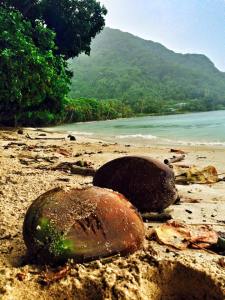 11083908_10153057464510358_3089972715450082792_n